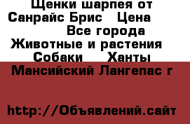 Щенки шарпея от Санрайс Брис › Цена ­ 30 000 - Все города Животные и растения » Собаки   . Ханты-Мансийский,Лангепас г.